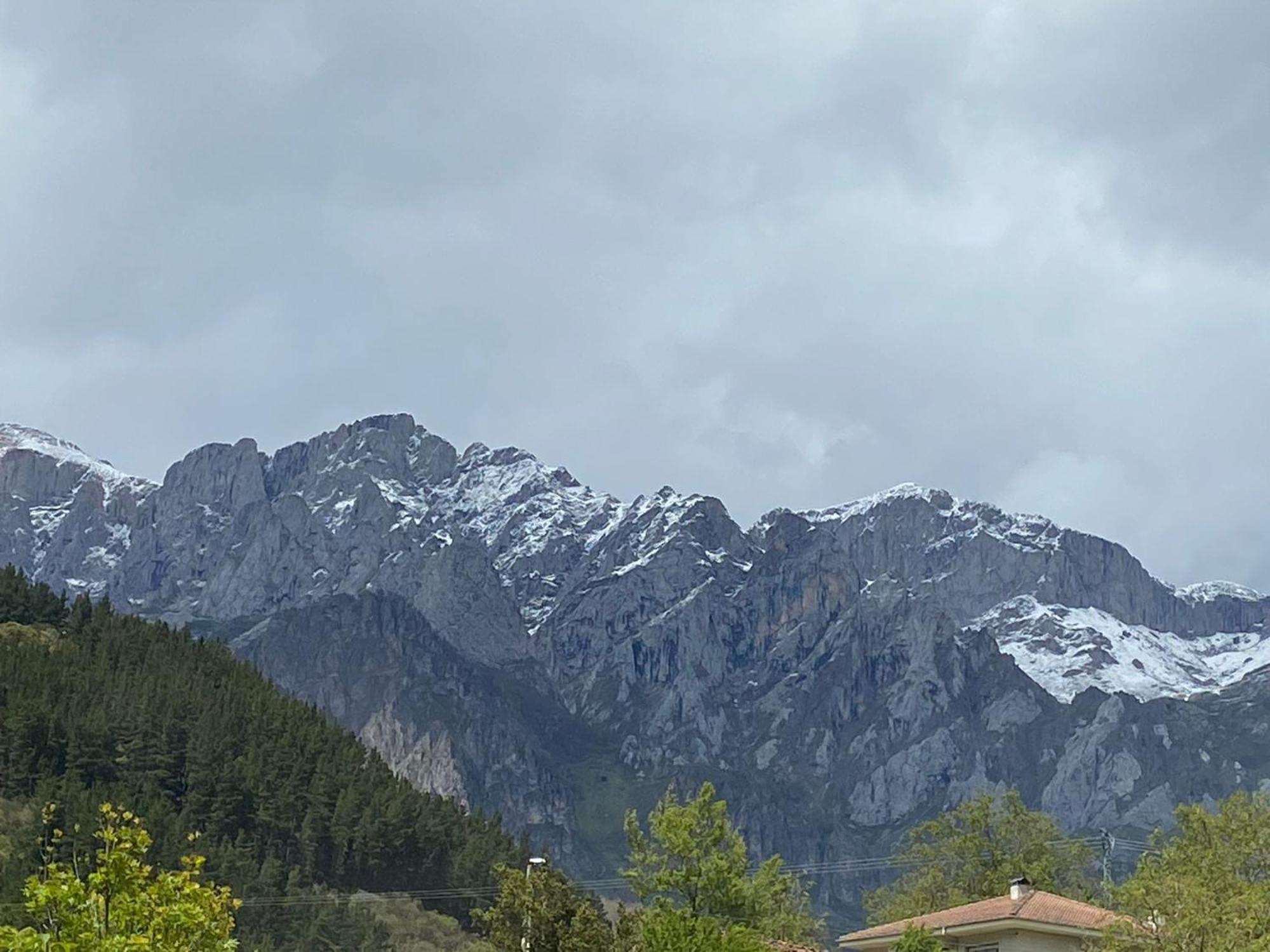 Picos De Europa Suites And Rooms Turieno Dış mekan fotoğraf