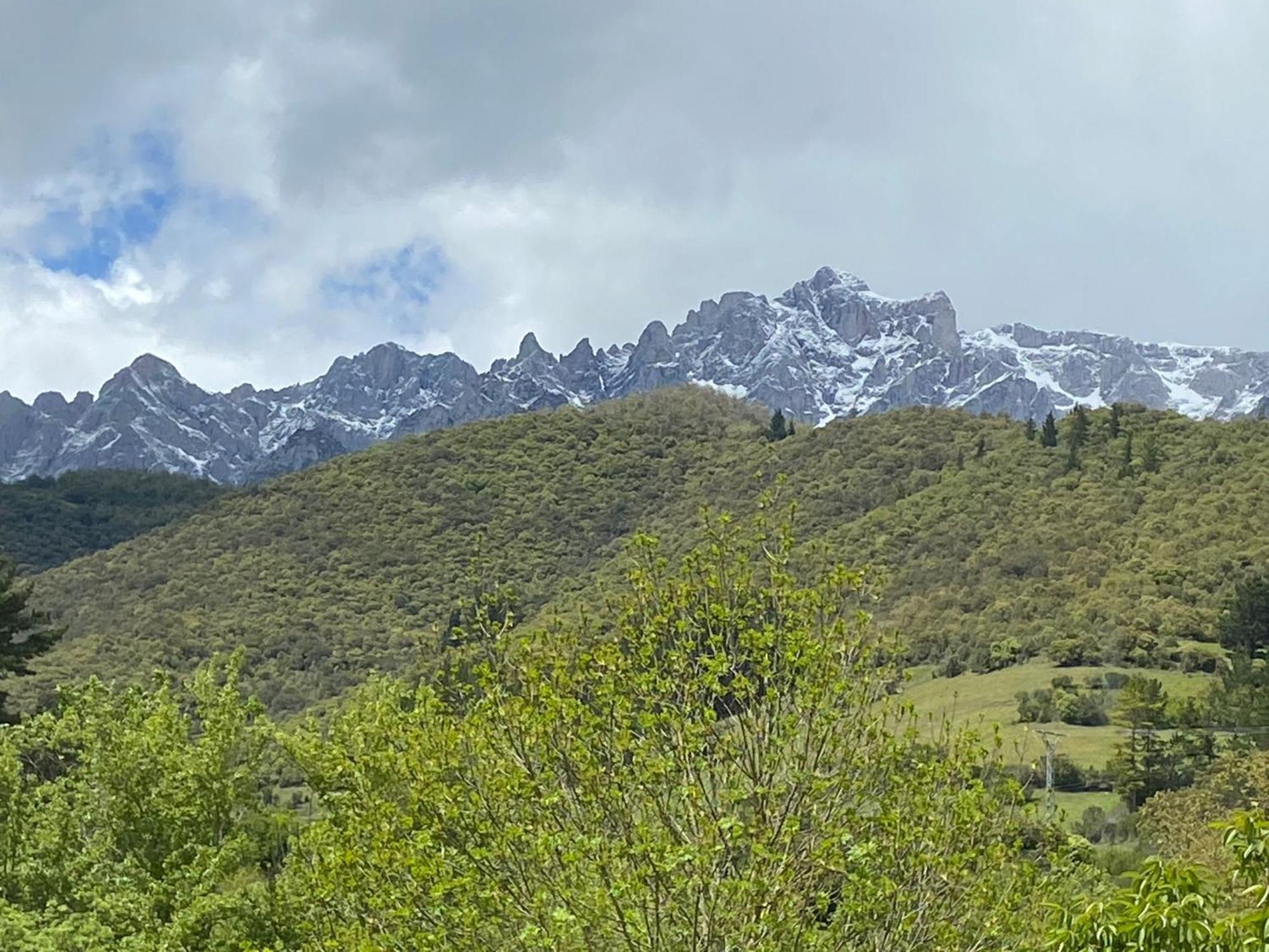 Picos De Europa Suites And Rooms Turieno Dış mekan fotoğraf