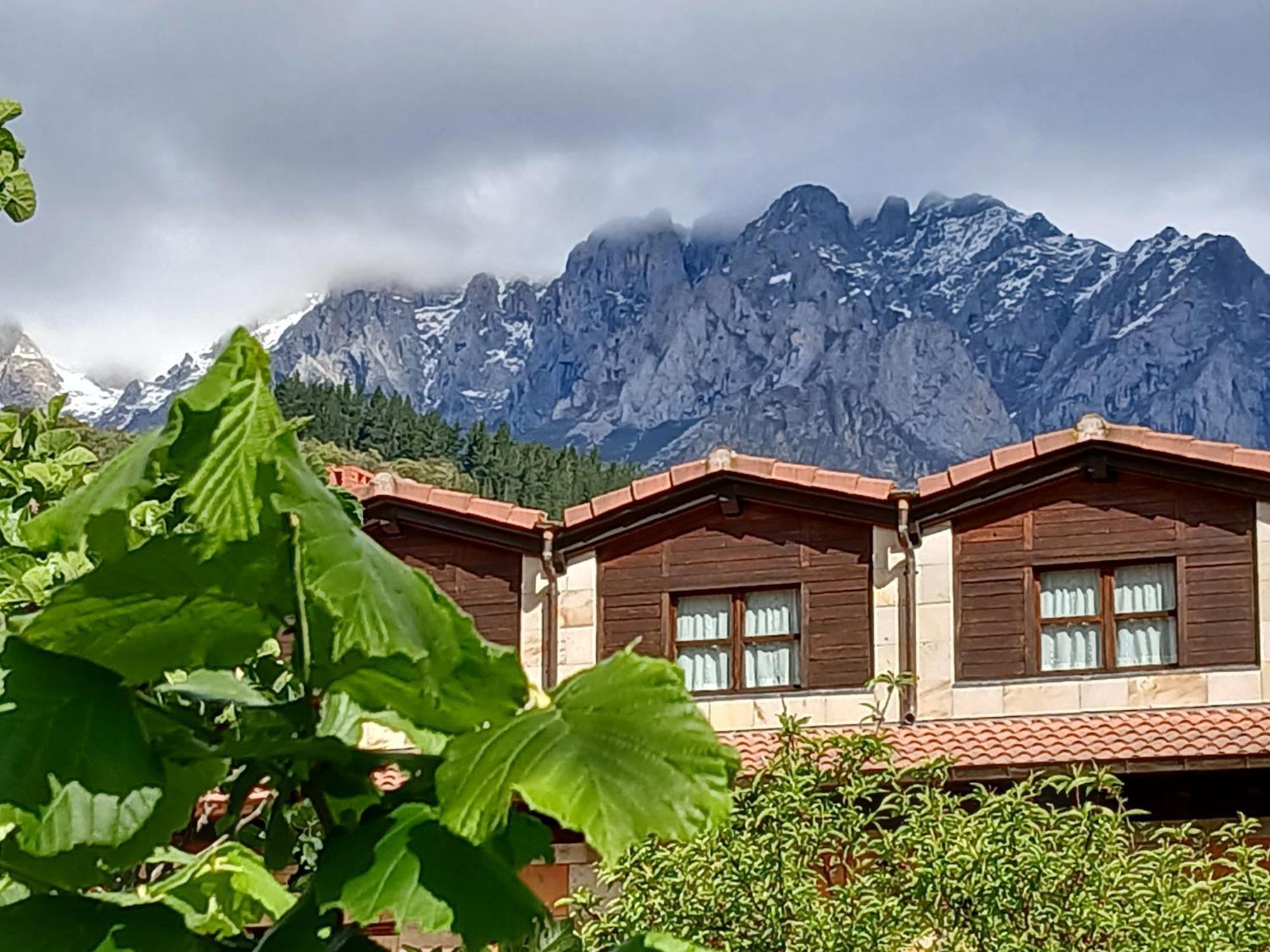 Picos De Europa Suites And Rooms Turieno Dış mekan fotoğraf