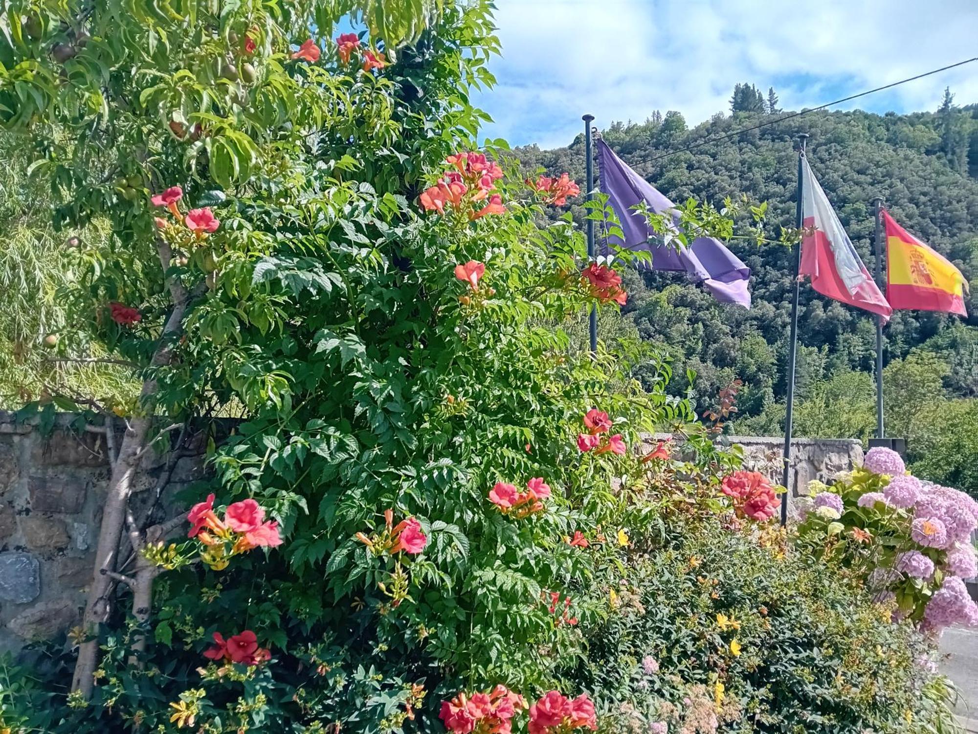Picos De Europa Suites And Rooms Turieno Dış mekan fotoğraf